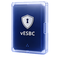 Пограничный контроллер Eltex vESBC - официальный дилер OPTICOM