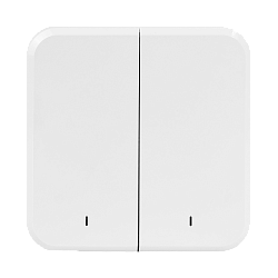 Выключатель SZ-SBR Eltex двухклавишный - официальный дилер OPTICOM